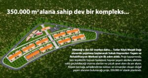 Altındağ’a 350 Bin Metrekarelik Dev Sokak Hayvanları Yaşam ve Rehabilitasyon Merkezi_Karapürçek Gazetesi