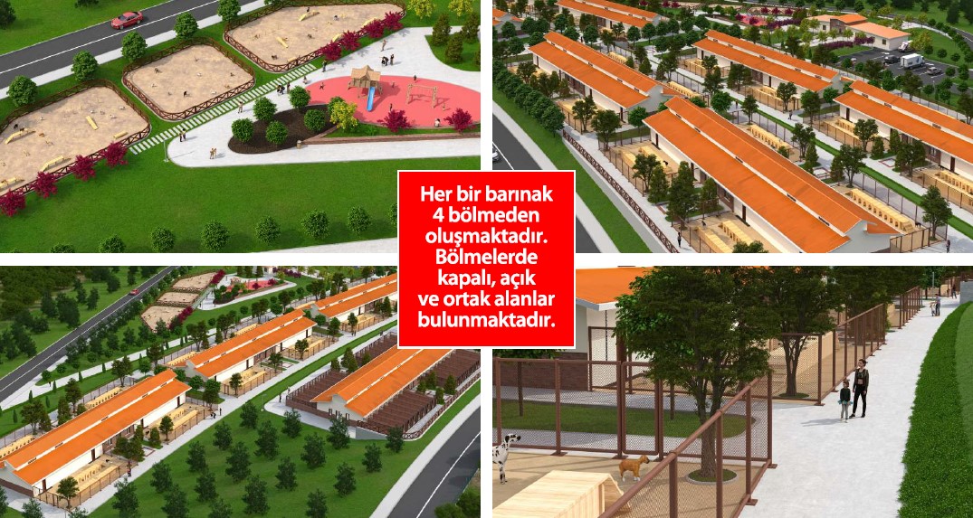 Altındağ’a 350 Bin Metrekarelik Dev Sokak Hayvanları Yaşam ve Rehabilitasyon Merkezi_Karapürçek Gazetesi