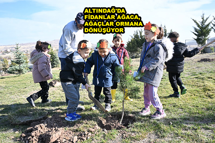 ALTINDAĞ'DA FİDANLAR AĞACA, AĞAÇLAR ORMANA_KARAPÜRÇEK GAZETESİ