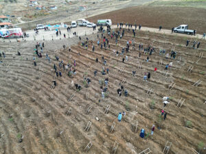 Çorum Nadık Şehir Ormanı’nda İlk Ağaçlar_Siteler TV