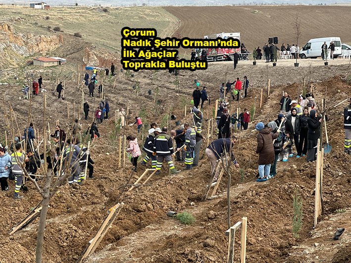 Çorum Nadık Şehir Ormanı’nda İlk Ağaçlar_Siteler TV