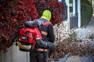 ETİMESGUT BAĞLICA
VE YENİ BAĞLICA’DA
KAPSAMLI TEMİZLİK_KARAPÜRÇEK GAZETESİ