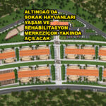 ALTINDAĞ’DA SOKAK HAYVANLARI YAŞAM VE REHABİLİTASYON MERKEZİ…2026